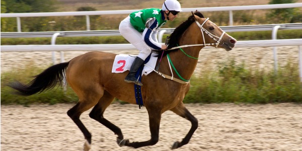 A jockeys on the back of a racing horse.