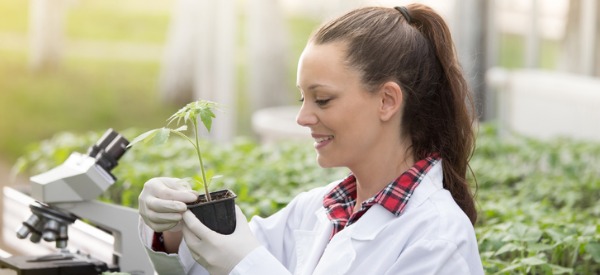 A horticulturist is someone who uses scientific knowledge to cultivate and propagate plants, and then uses this knowledge to provide technical information to fruit, vegetable and flower growers as well as farmers.