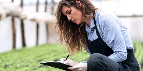 A greenhouse technician in a greenhouse collecting plant growth statistics.