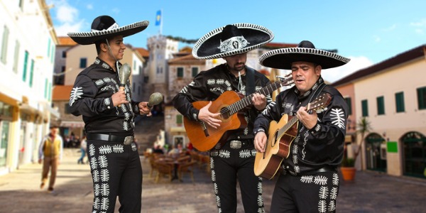 An ethnomusicologist will look at music from within a culture instead of a purely artistic perspective, and does so by traveling to the area of interest and collecting information.