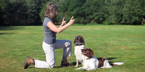 tv dog trainer