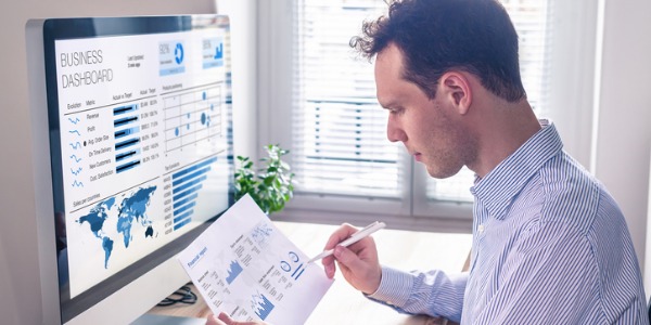 An auditor assessing a company's financial records.