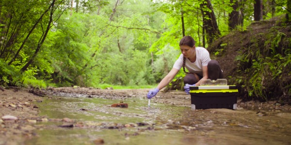 A marine biology graduate taking samples from a forest creek.