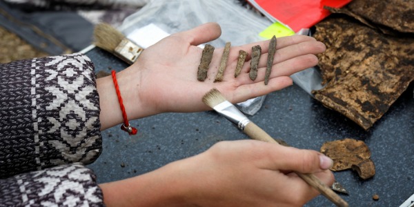 Archaeologist holds in his hand several different ancient arrowheads.