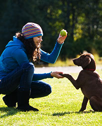 how much can a dog trainer make