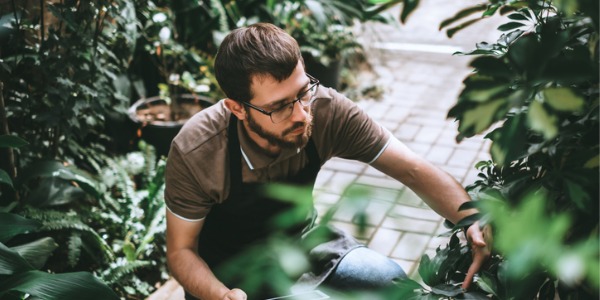 A botanist looking at plants.