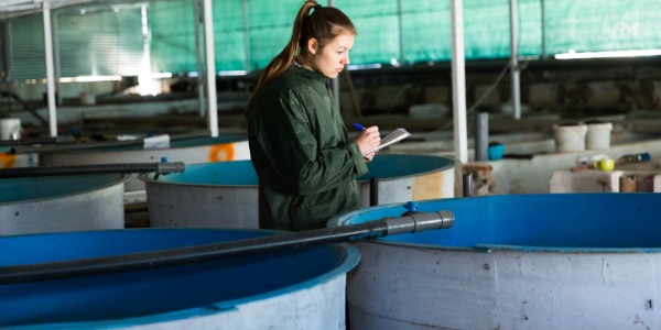 An aquaculturist recording data of trout inventory.