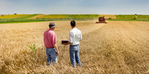 An agricultural business manager talking to a farmer in a field.
