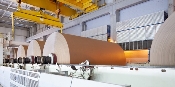 Rolls of paper in a paper manufacturing plant.