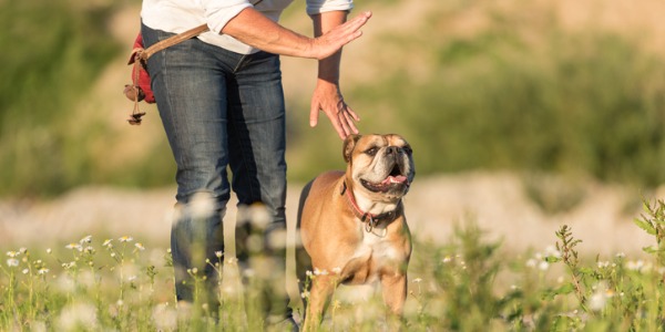 An animal behavioural working with a dog outside.