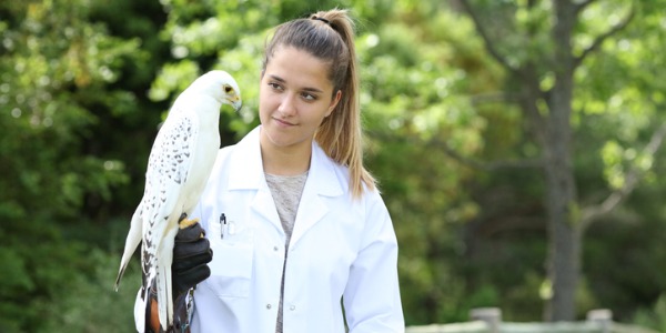 A zoo educator with a falcon on her arm.