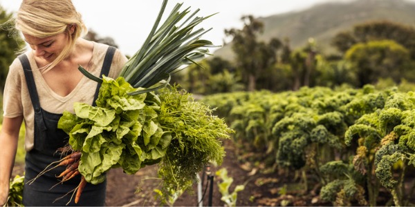 An organic farmer walking through her farm with vegetables in her hand.