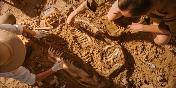 Two paleontologists discovering fossils.