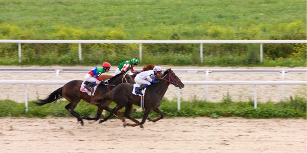 Racehorses on a track.
