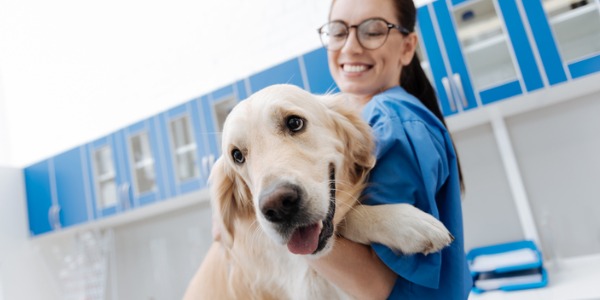 A veterinary assistant holding a dog.