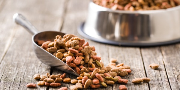 A bowl of dog food that was formulated by an animal nutritionist.