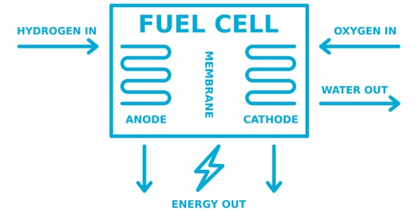 A diagram of a fuel cell.