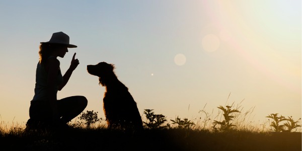 A dog trainer working outside with a dog.