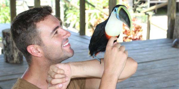 A tucan sitting on a bird trainer's arm.