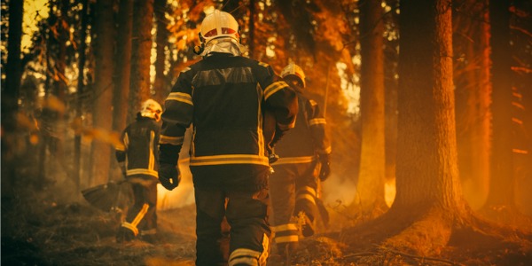 Three wildland firefighters walking through the forest.