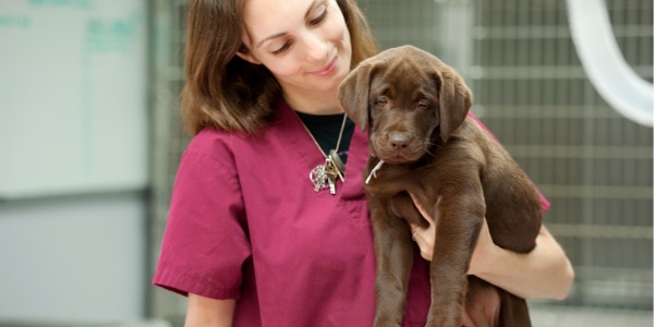 A female veterinary technologist holding a puppy.