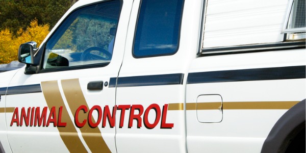 An animal control worker's truck.