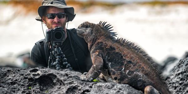 A wildlife photographer taking a picture of a lizard.