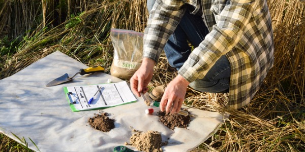 A soil and plant scientist preparing soil samples for laboratory analysis.