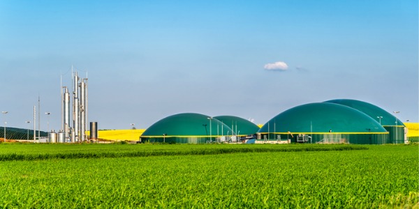 A biomass power plant.