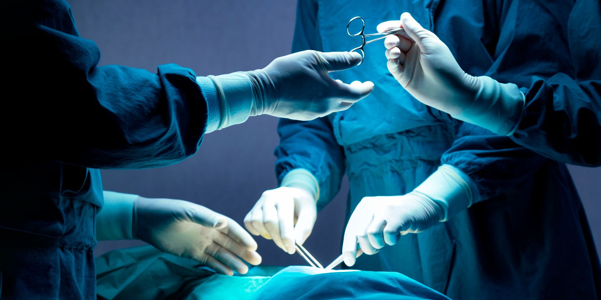 A veterinary surgeon performing a surgery.