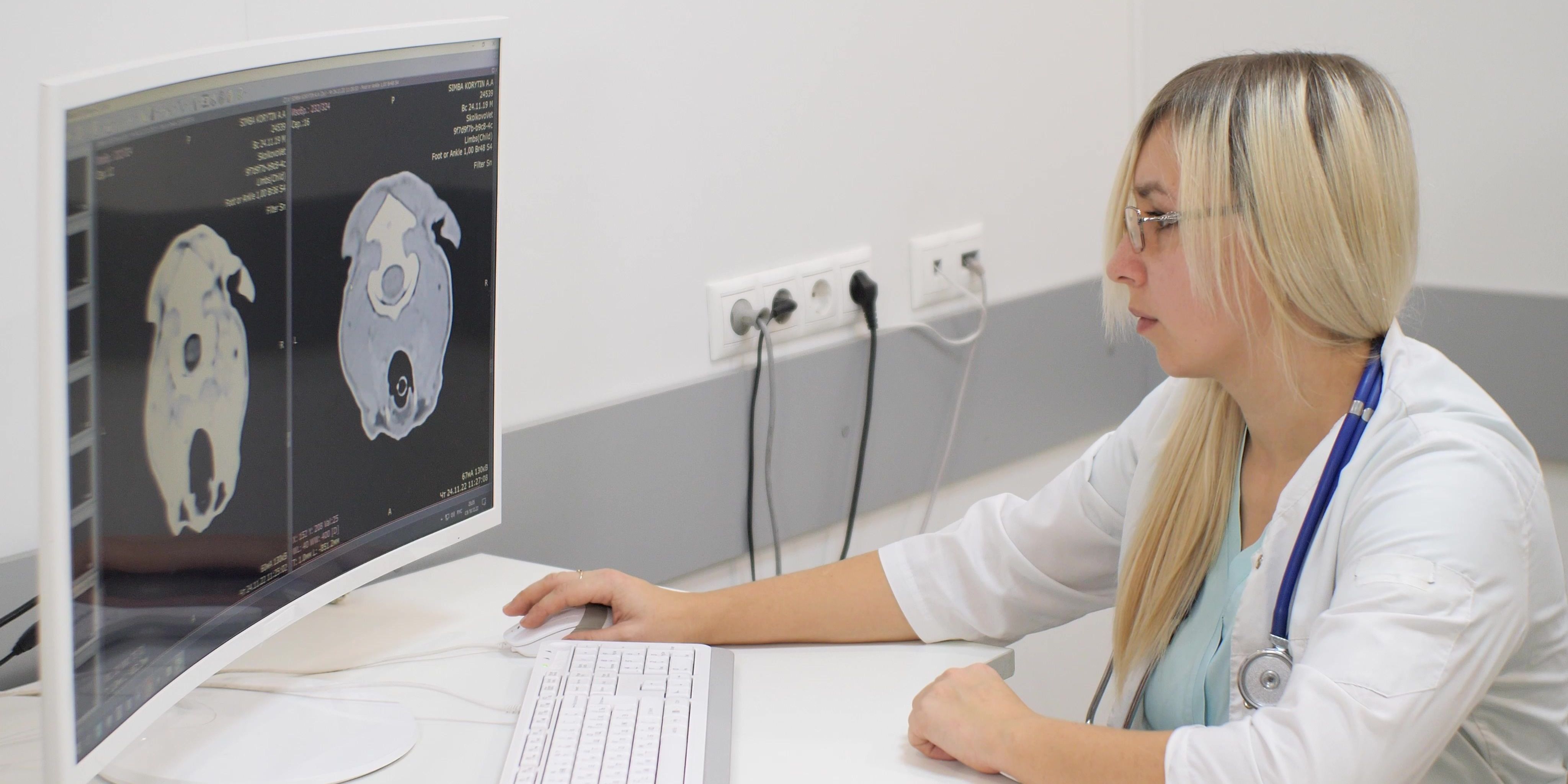 A veterinary neurologist looking at an X-ray.