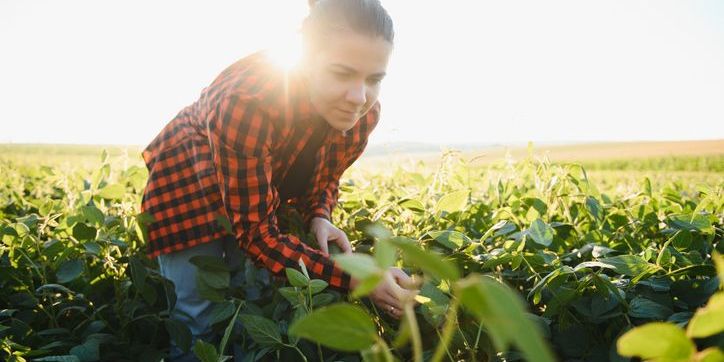 What does a certified crop advisor do? - CareerExplorer