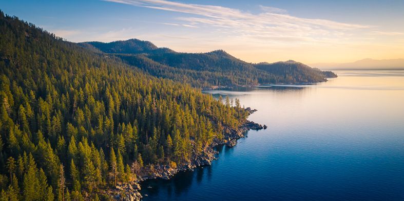 An image of forest land and a lake.