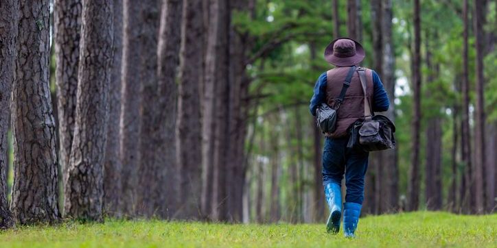 A wildlife ecologist heading into a forest.