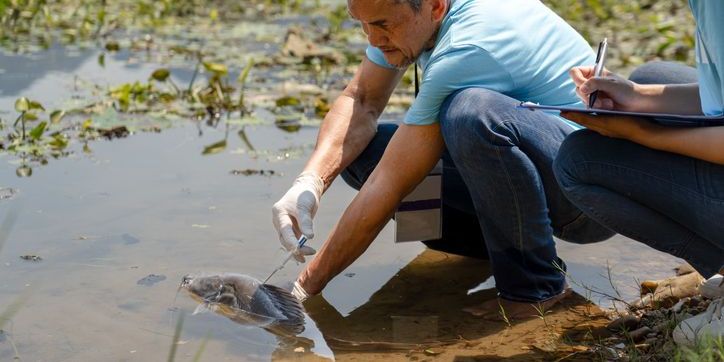 A marine fisheries biologist holding a syringe containing a microchip to inject into the body of a fish.