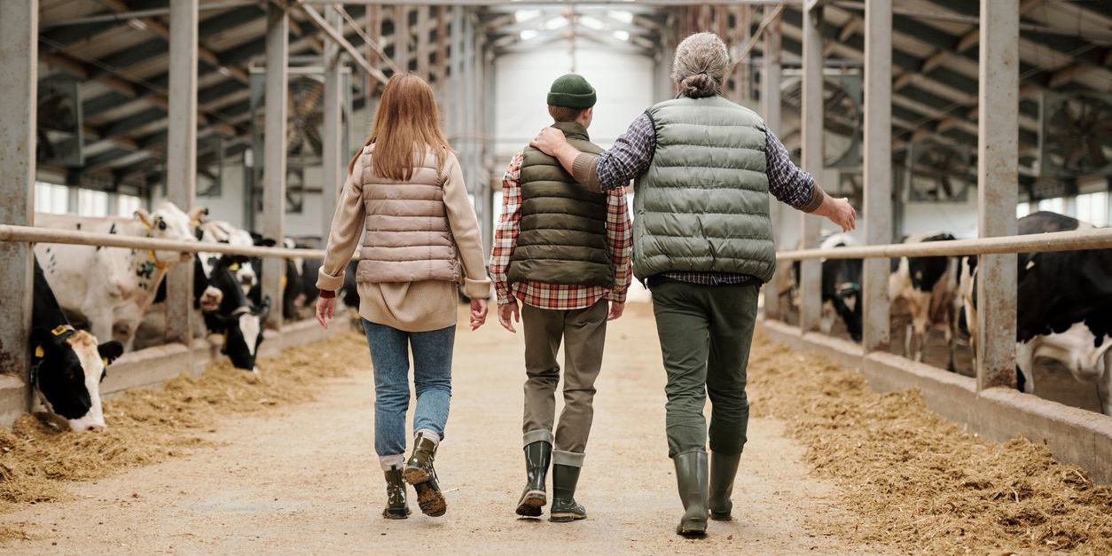 A family dairy farmer walking through the dairy farm with the kids.
