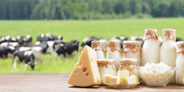 Cheese, butter, milk, and yogurt sourced from an artisanal dairy farm.