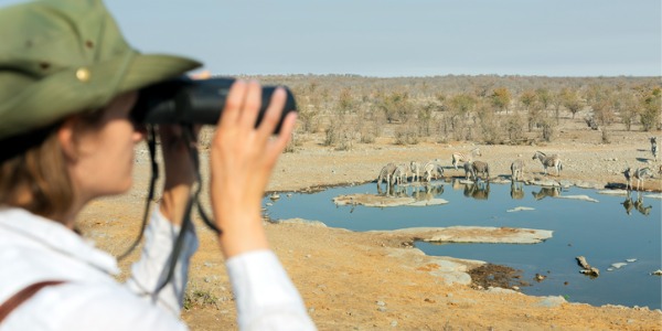 A cognitive ethologist observing zebras in their natural habitat.