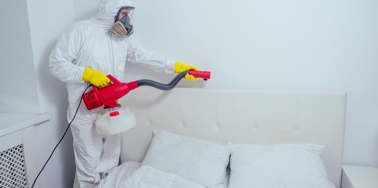 What Does A Bed Bug Exterminator Do Careerexplorer What Does A Bed Bug Exterminator Do Careerexplorer