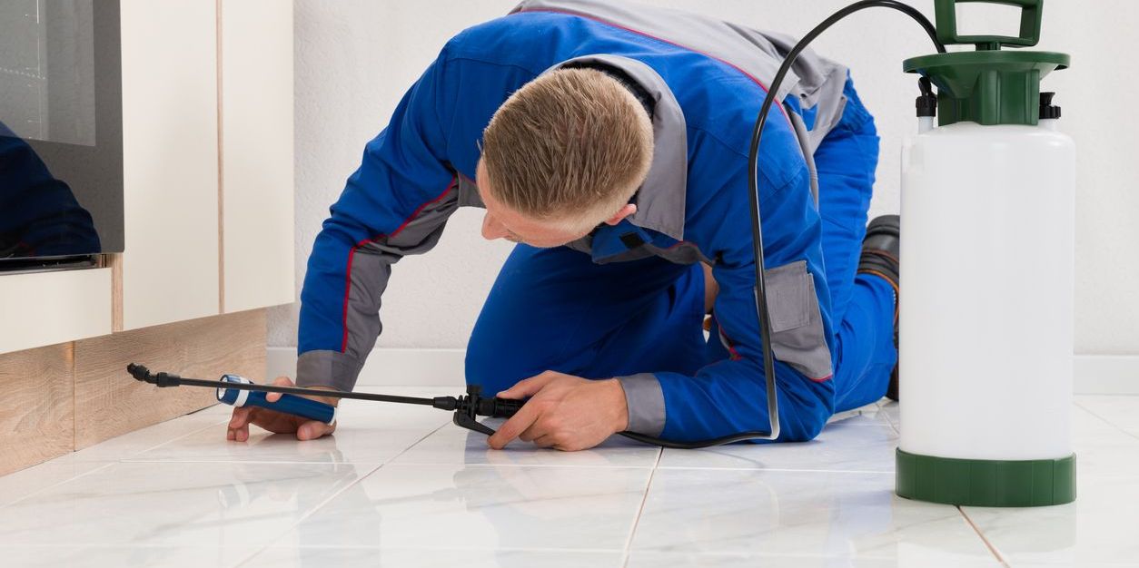 An insect exterminator spraying inside a home for an insect infestation.