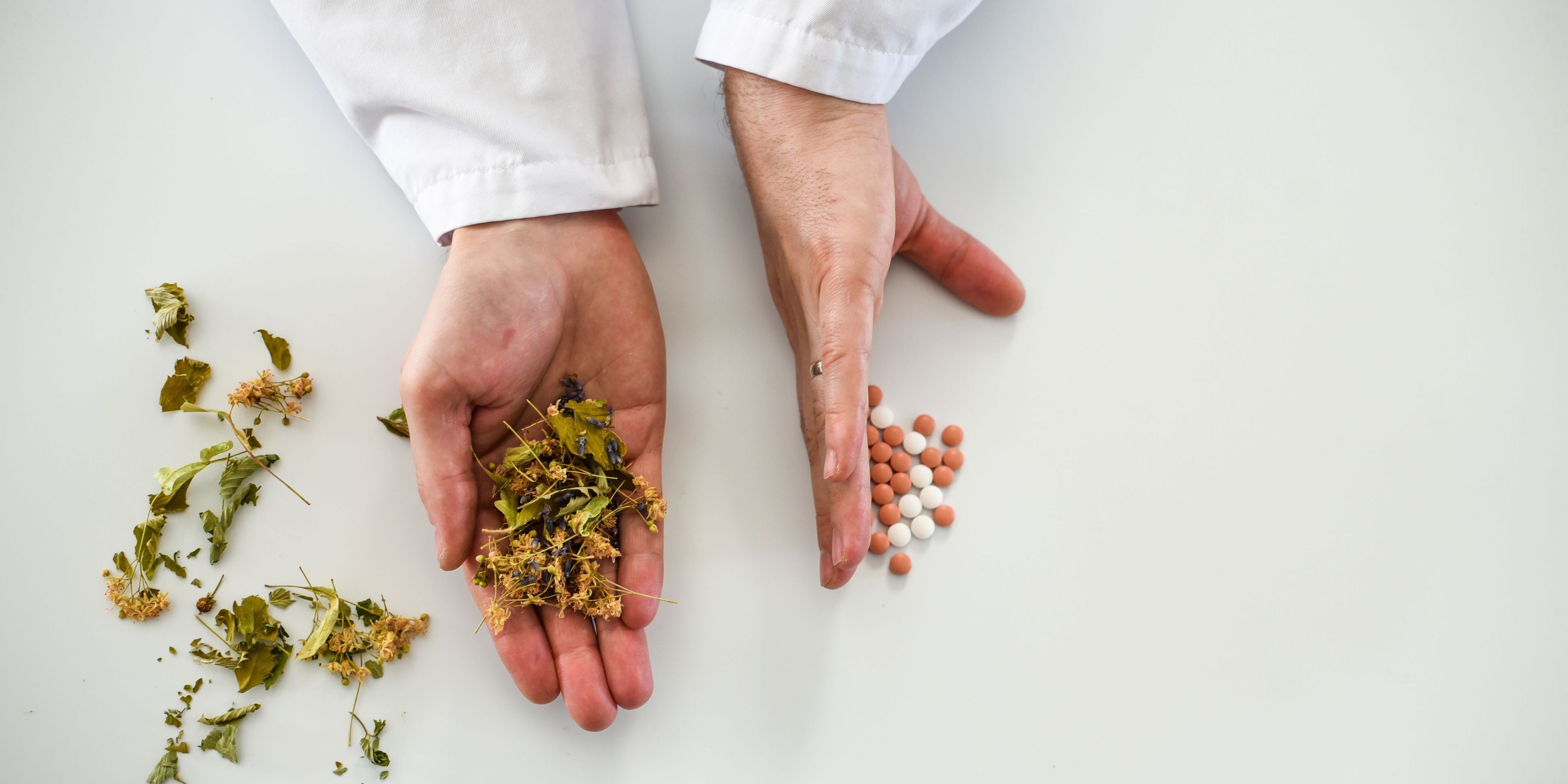 Choosing between natural medicine and synthetic, a homeopath's hands holding herbs and pills.
