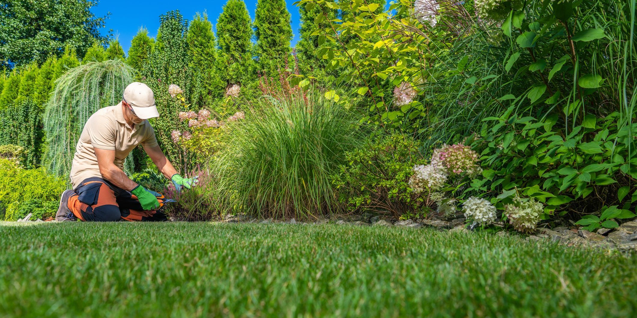 A gardener planting flowers in a client's yard.