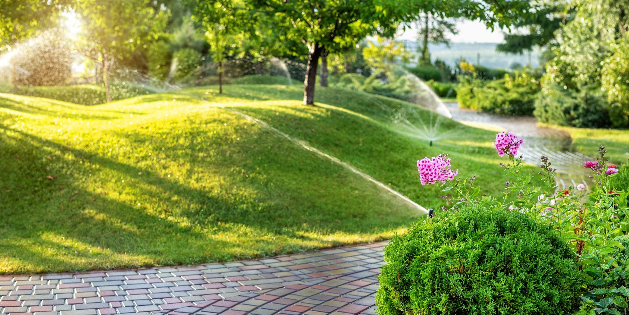 A sprinkler system designed by an irrigation specialist.