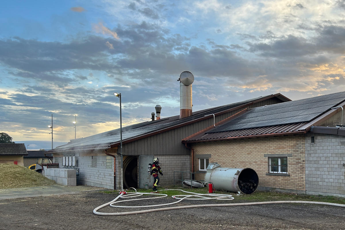 Sirnach TG - Brandausbruch in einer Trocknungsanlage