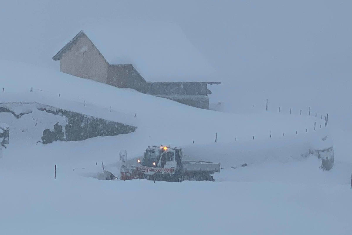 Kanton Thurgau – Vorsicht vor umstürzenden Bäumen!