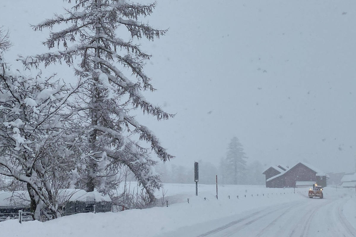 Winterthur ZH - Gefahr durch schwere Schneelast auf den Bäumen! 