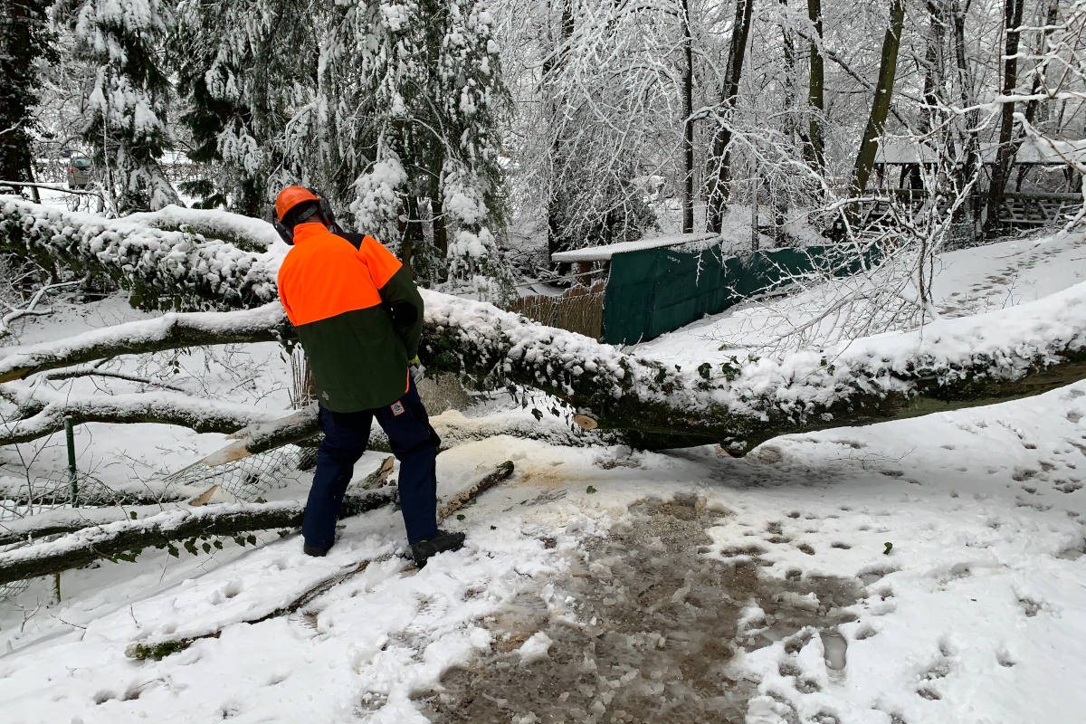 Stolberg – Schneefall verursacht zahlreiche Einsätze