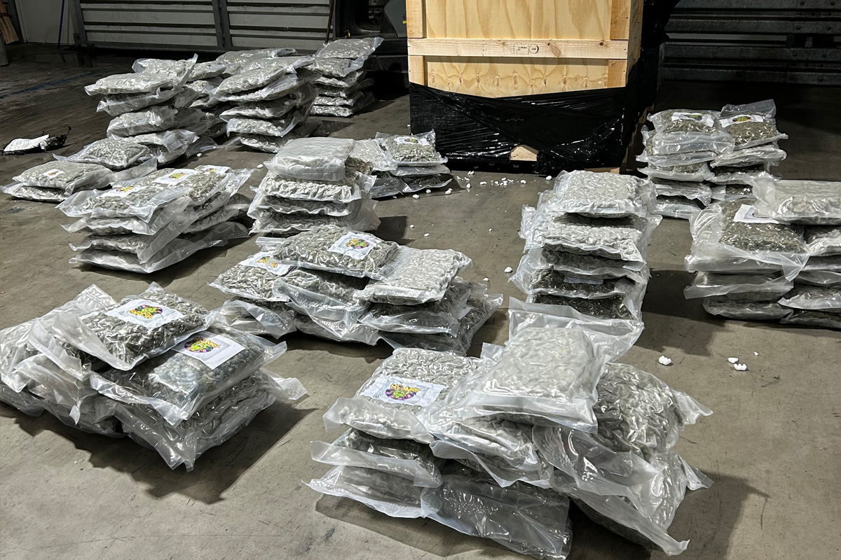 Düsseldorf – 1,5 Tonnen Marihuana sichergestellt