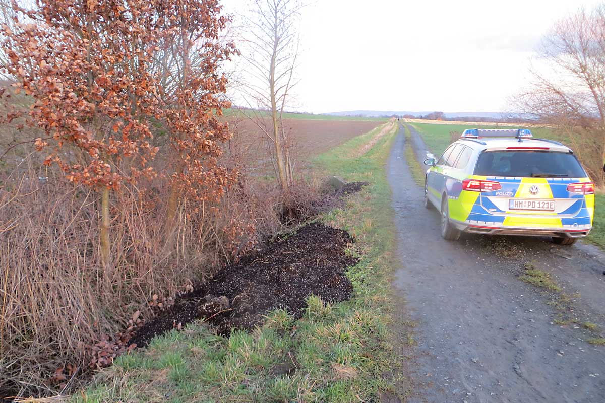 Salzhemmendorf - Cannabis-Plantage aufgeflogen