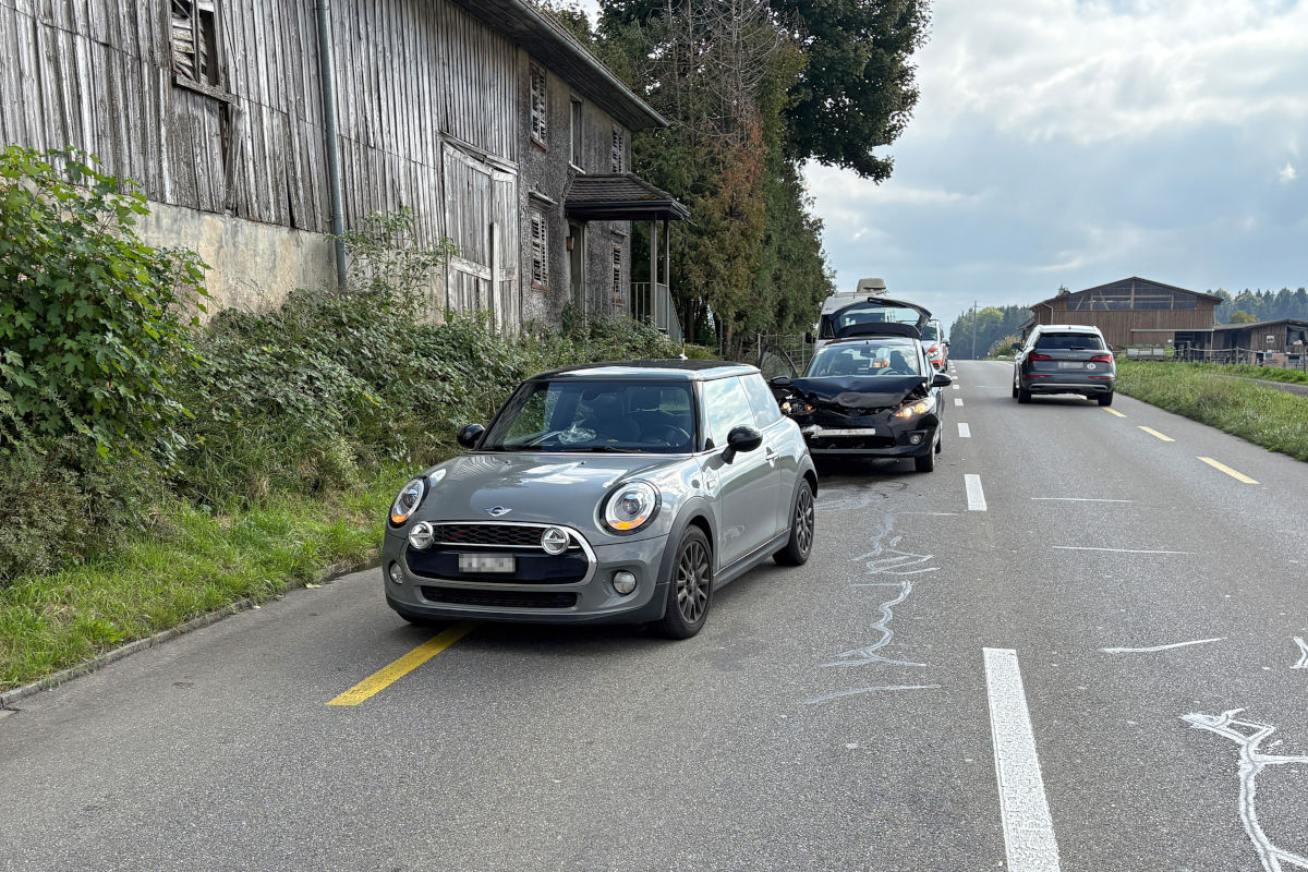 Altishausen TG – Beifahrerin bei Unfall verletzt